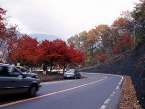 日塩もみじライン