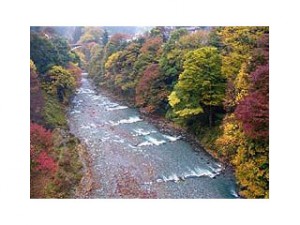 奥多摩(氷川渓谷)