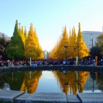 明治神宮外苑銀杏