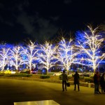 東京中城聖誕燈飾